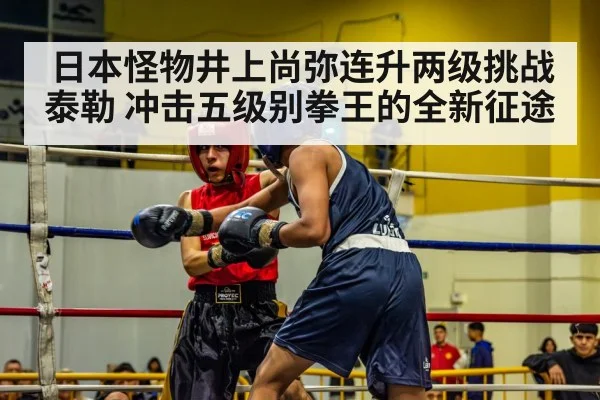 日本怪物井上尚弥连升两级挑战泰勒 冲击五级别拳王的全新征途