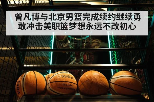 Beijing Ducks basketball game